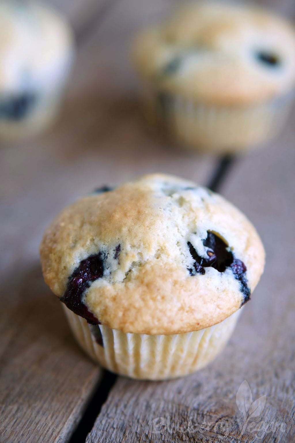 Fluffige Blaubeer-Joghurt-Muffins - Blueberry Vegan