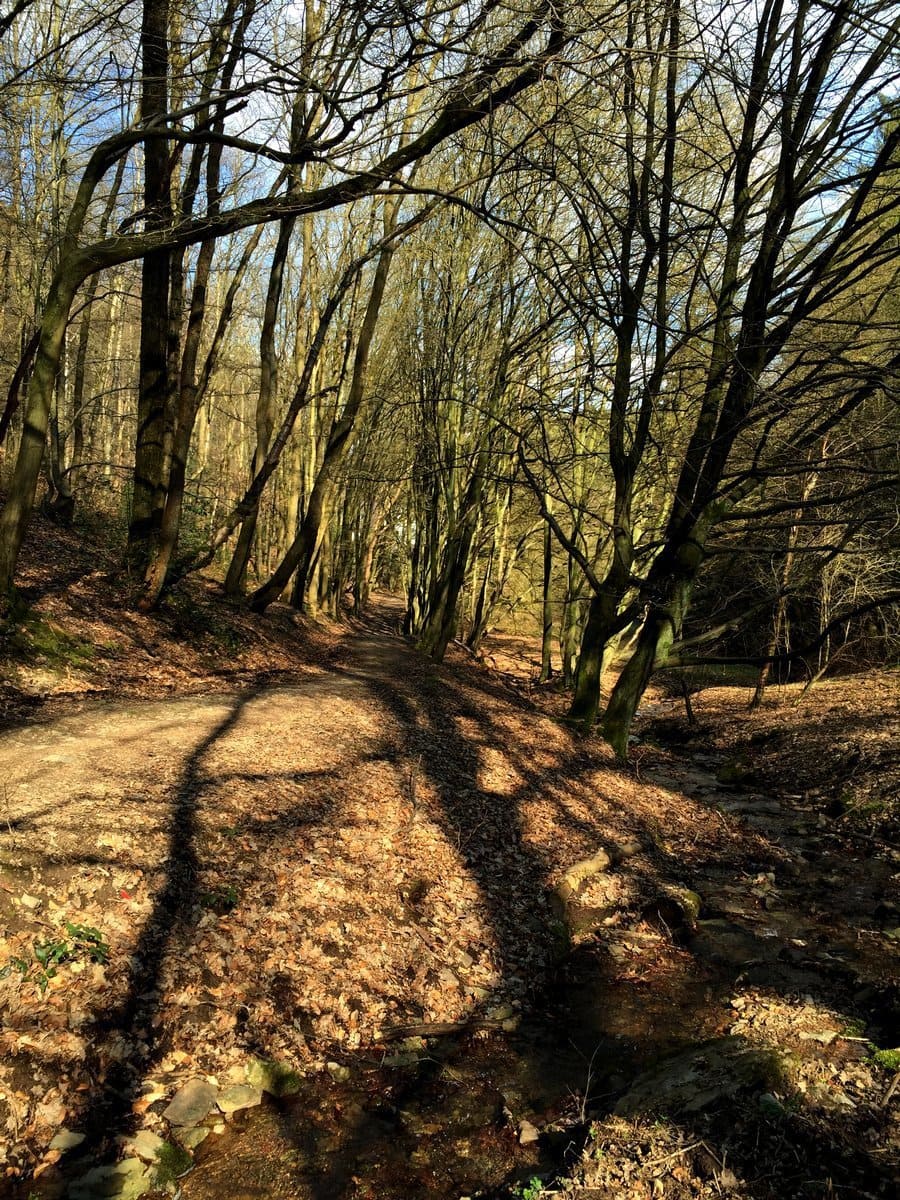 Wanderung durch das Gelpetal in Wuppertal und Linsencurry