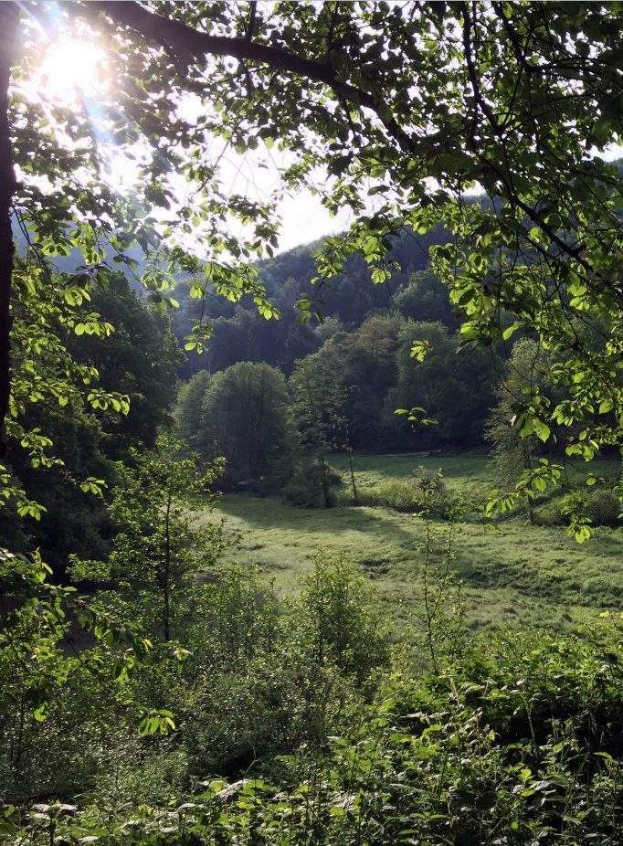 Wanderung bei Rheinbrohl – Der Rheinsteig und darum herum