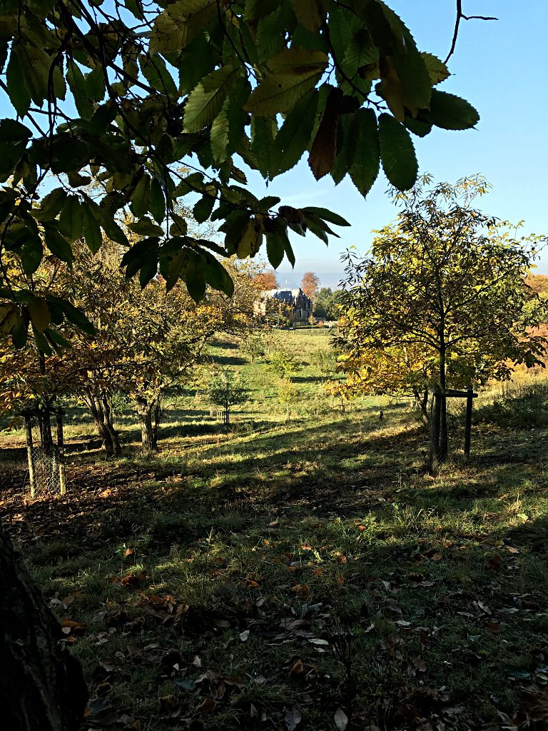 Wanderung am Drachenfels und einfache Linsensuppe