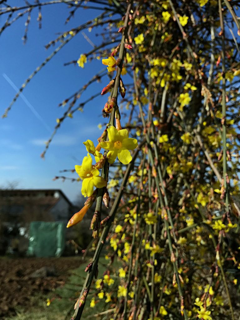 Wanderung um den Schönberg bei Freiburg