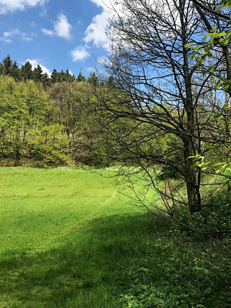 Wanderung in Wuppertal-Beyenburg und mein nächstes Wanderprojekt