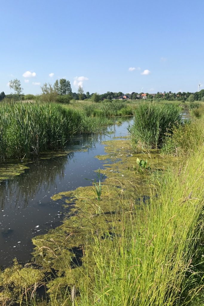 Die Via Baltica – Von Bad Oldesloe nach Nahe