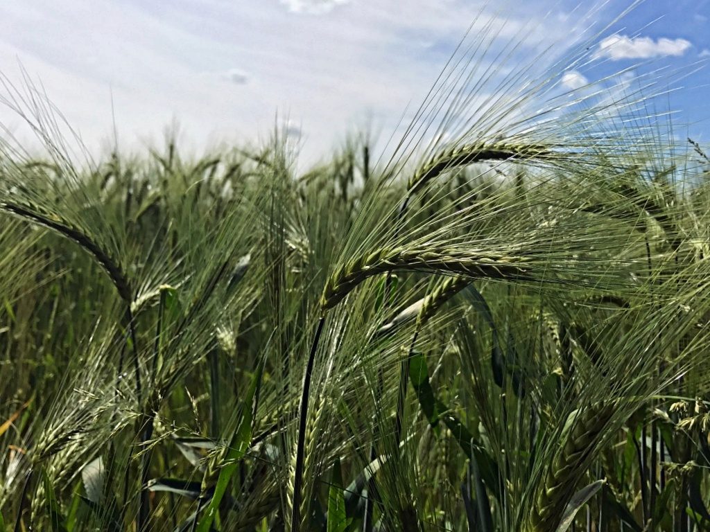 Die Waldroute und das Felsenmeer bei Hemer