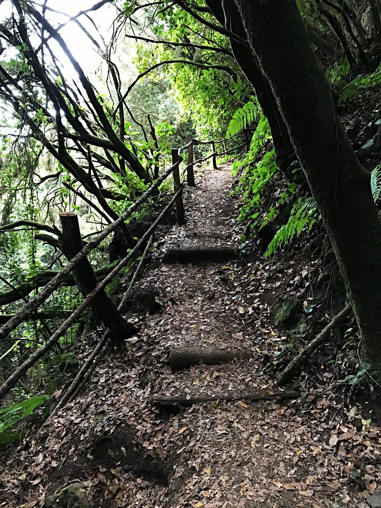 Wandern auf La Palma – Von La Zarza nach Don Pedro und zurück