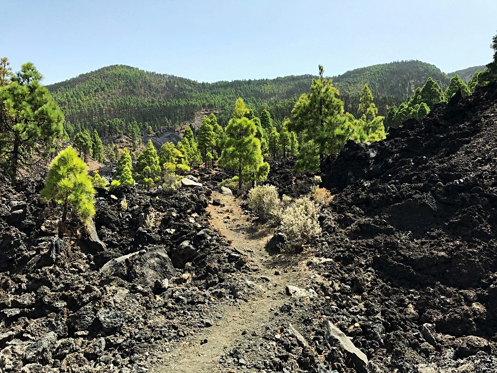 Wandern auf La Palma – Von San Nicolás zum Ort des Vulkanausbruchs des San Juan