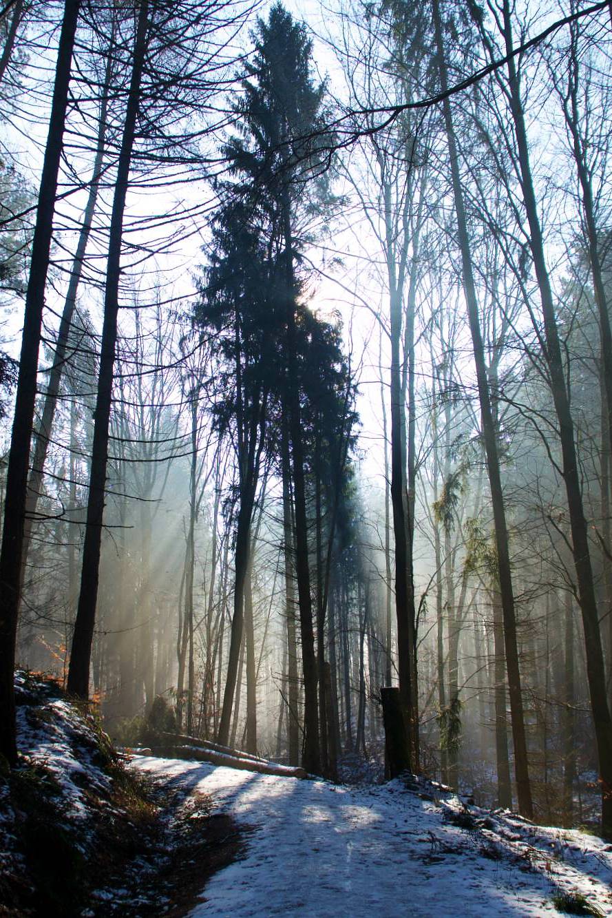 Wanderung rund um Marburg