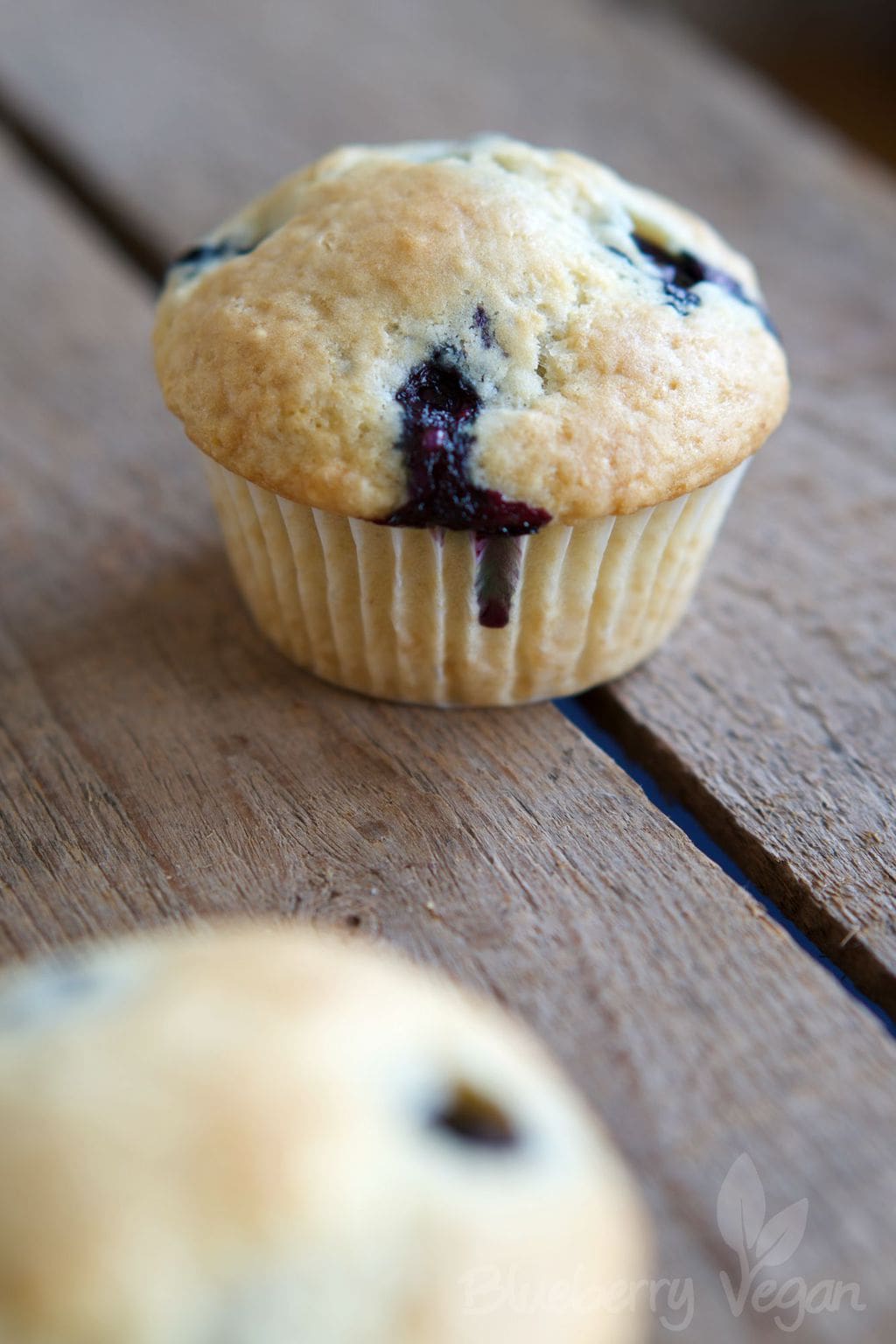 Fluffige Blaubeer-Joghurt-Muffins | Blueberry Vegan
