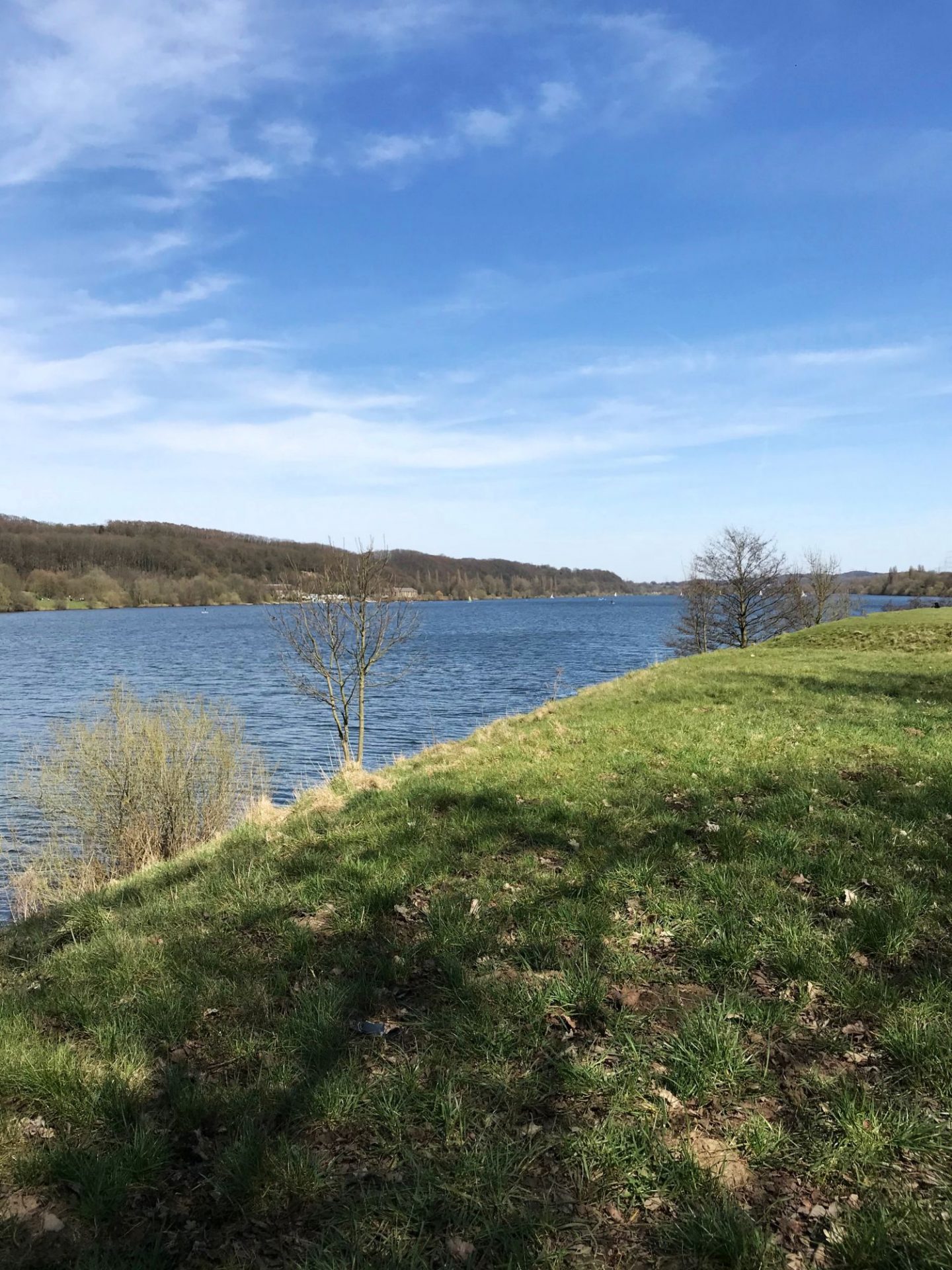 Rotes Linsen Dal am Kemnader See