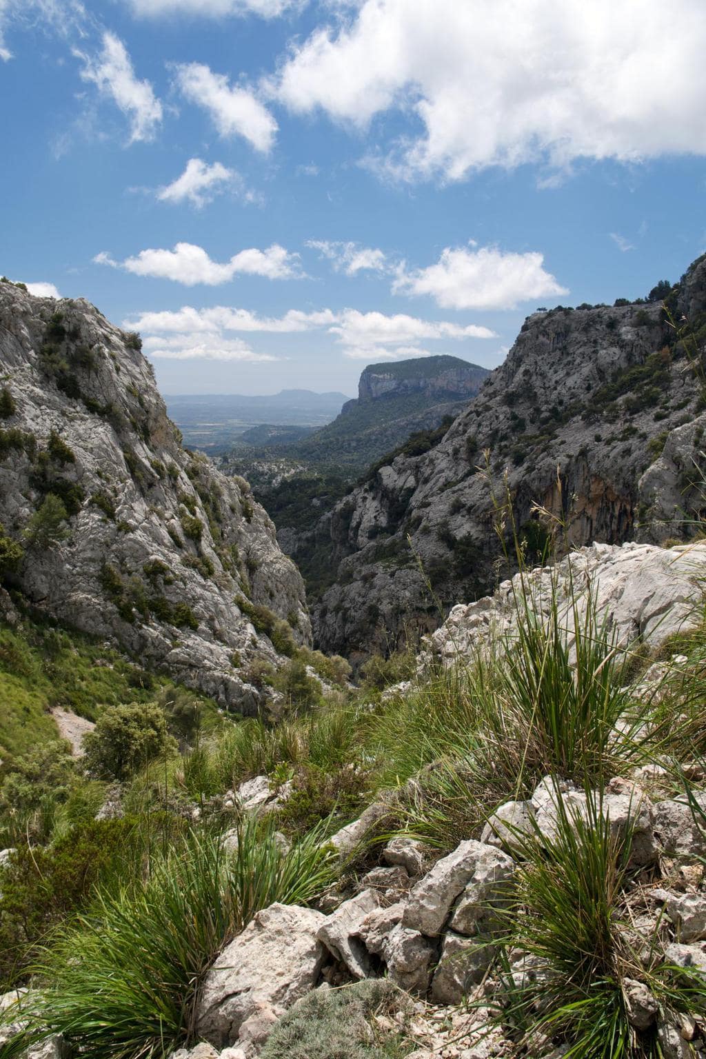 Der GR 221 – Von Port de Sóller (Refugi Muleta) zum Refugi Tossals Verds