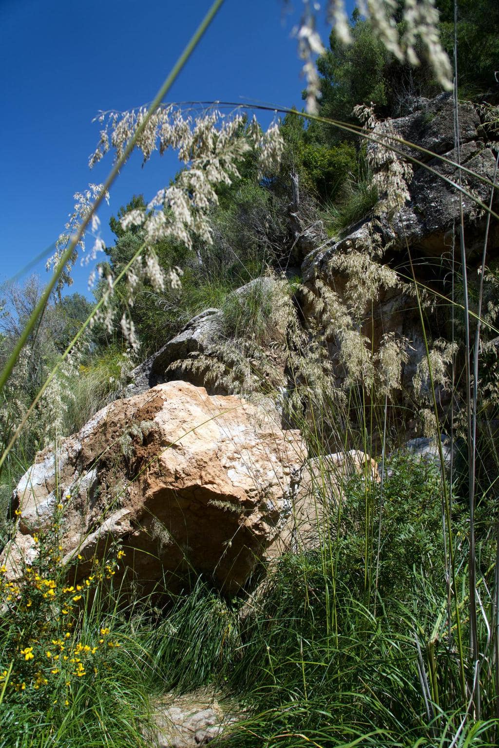 Der GR 221 – Von Valldemossa nach Deià