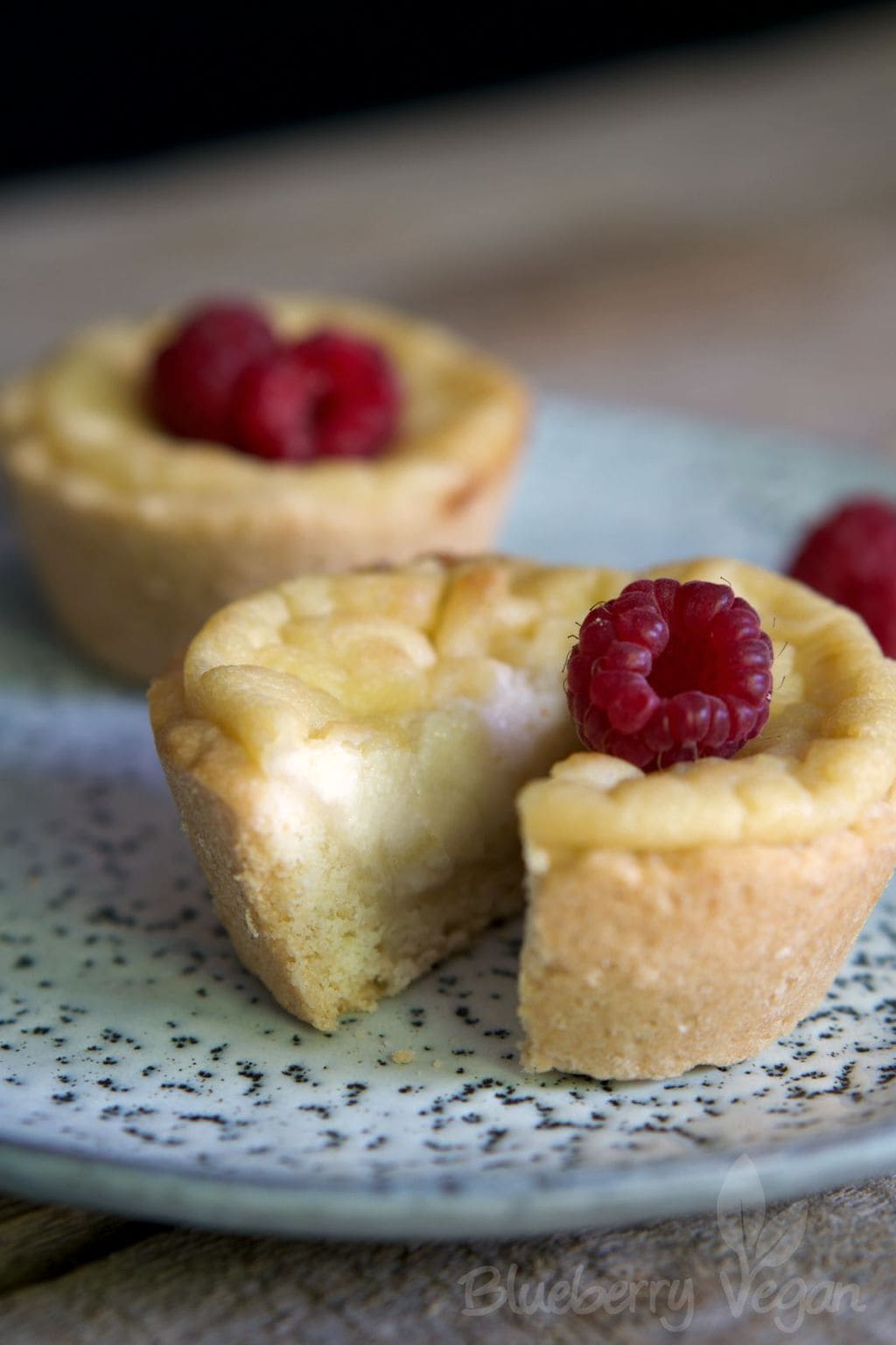 Handliche Mini-Käsekuchen - Blueberry Vegan