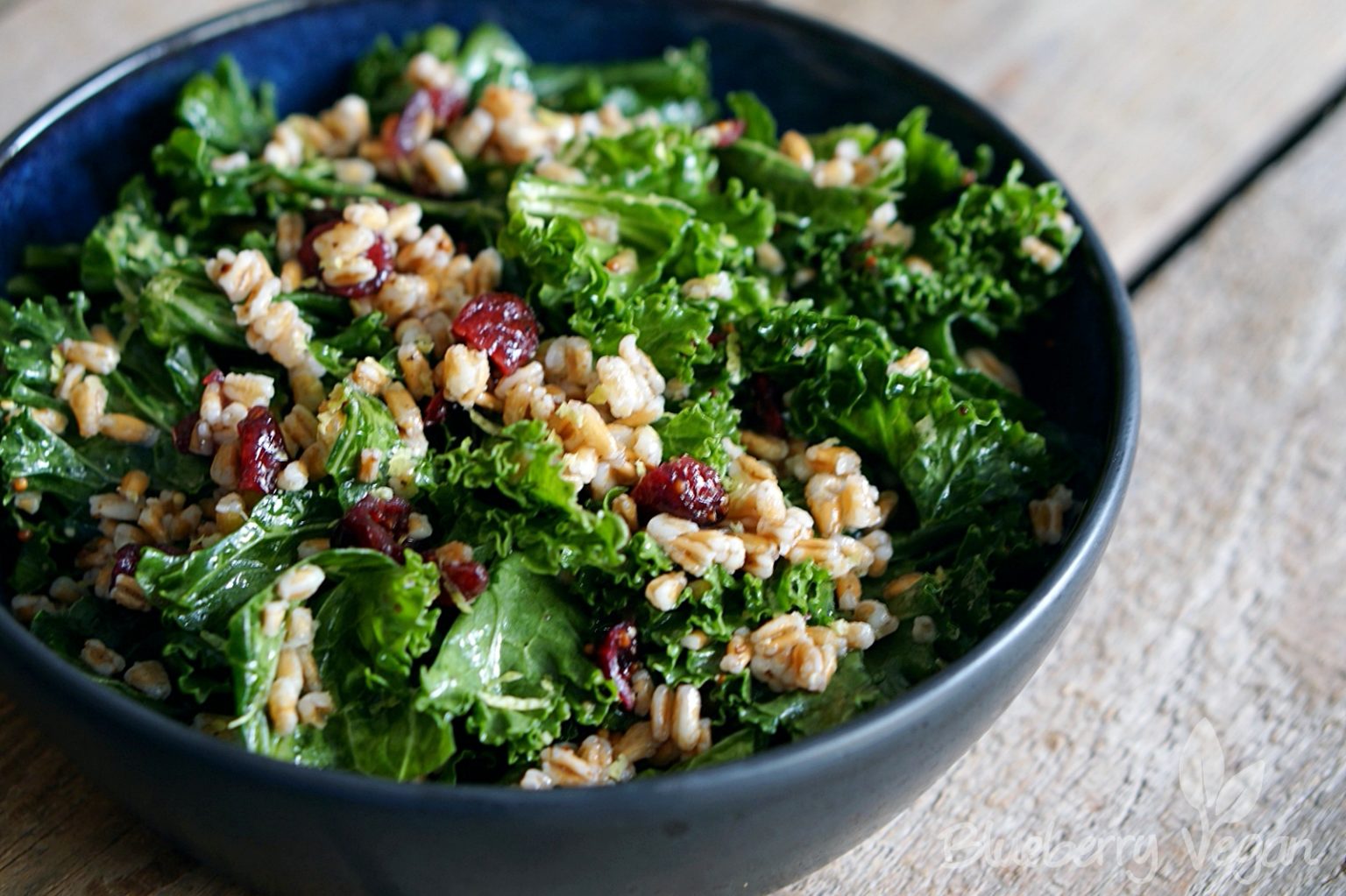 Warmer Grünkohlsalat mit Getreide und Cranberries | Blueberry Vegan