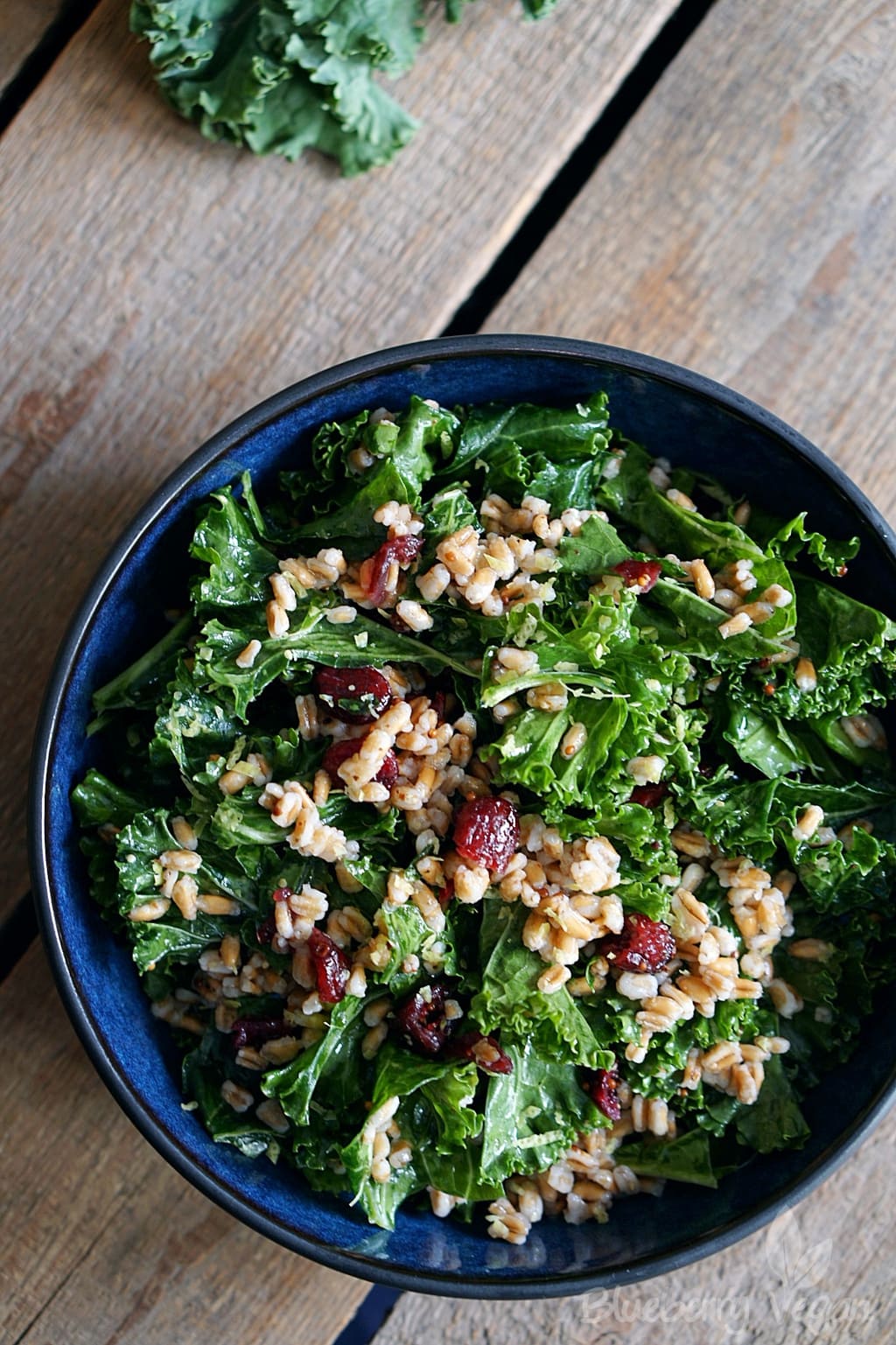 Warmer Grünkohlsalat mit Getreide und Cranberries